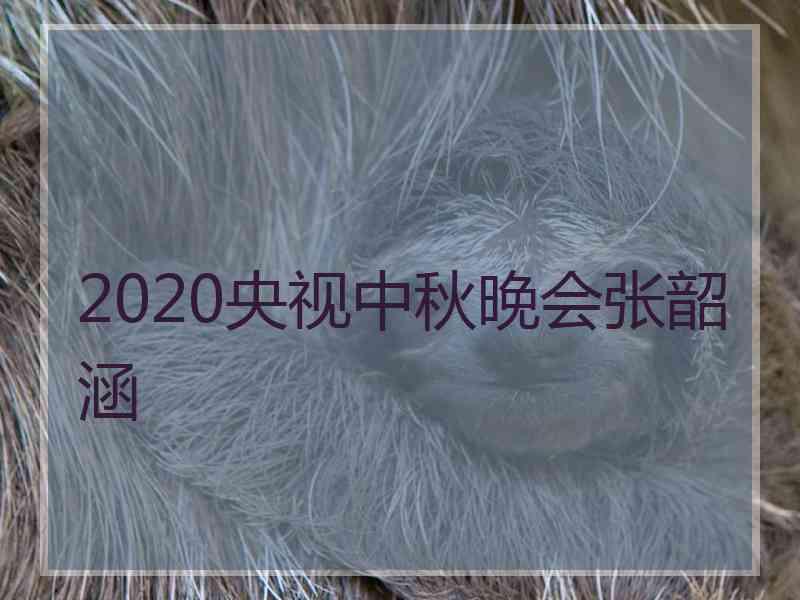 2020央视中秋晚会张韶涵