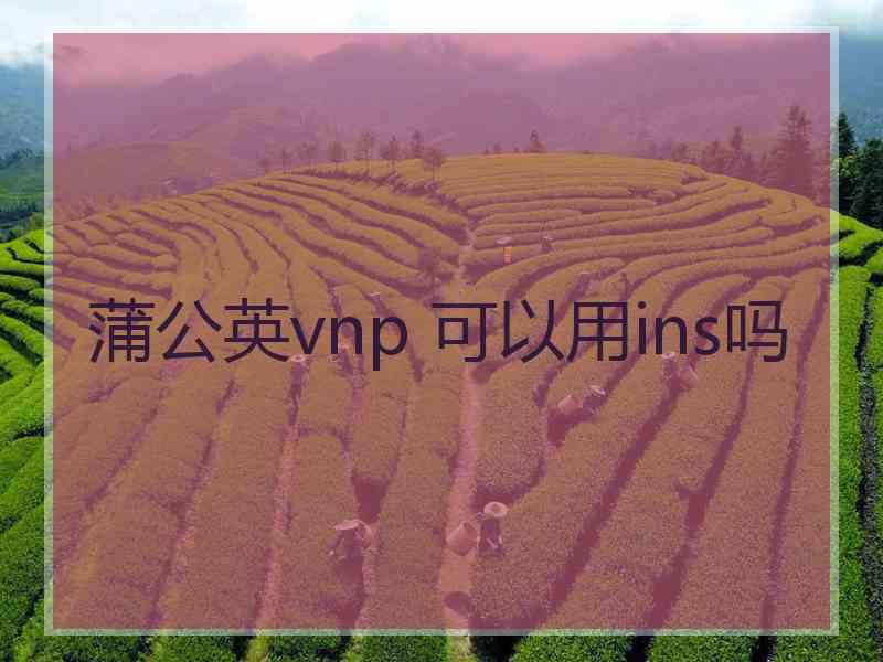 蒲公英vnp 可以用ins吗