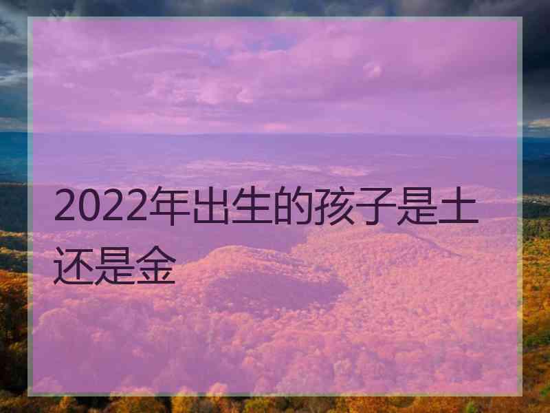 2022年出生的孩子是土还是金