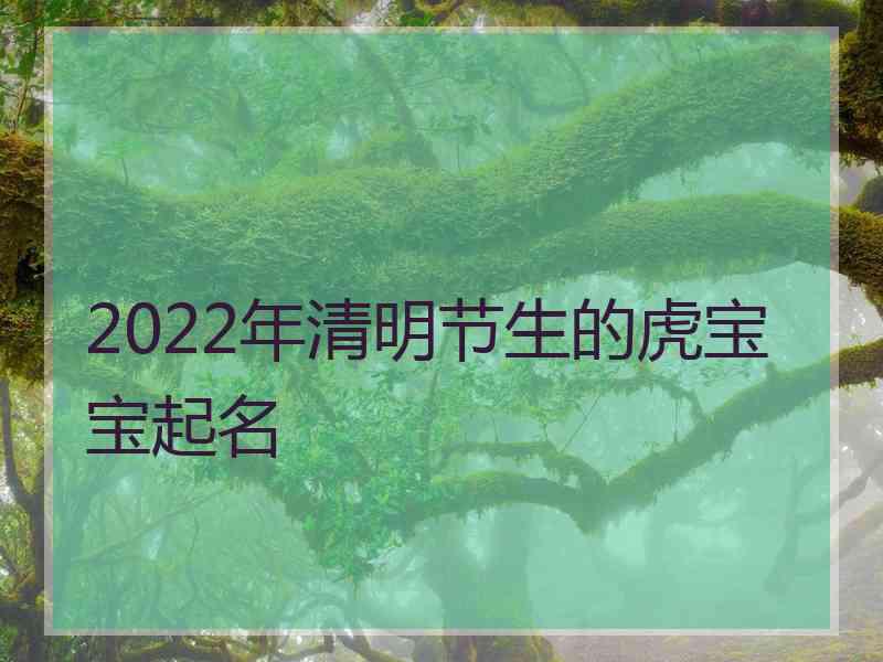 2022年清明节生的虎宝宝起名