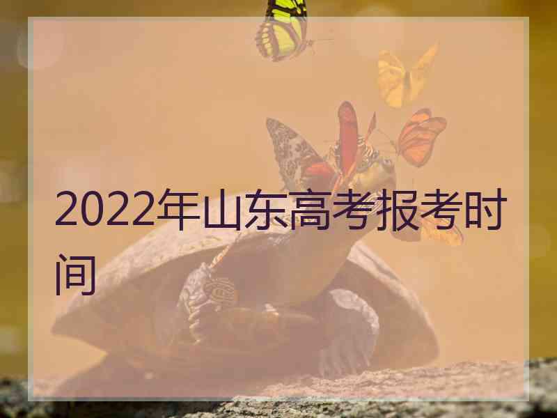 2022年山东高考报考时间