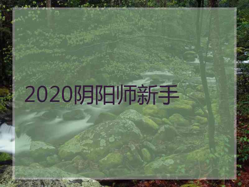 2020阴阳师新手