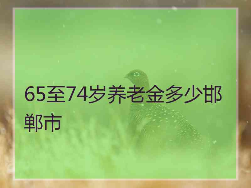 65至74岁养老金多少邯郸市