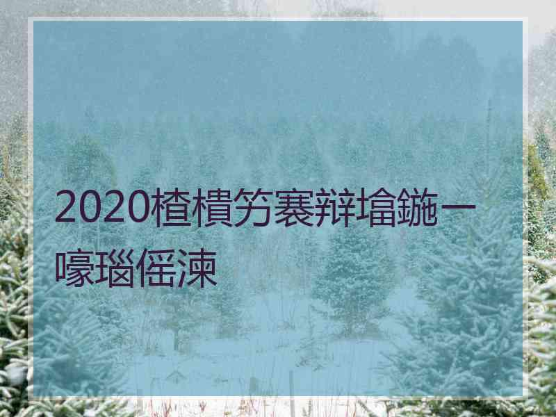 2020楂樻竻褰辩墖鍦ㄧ嚎瑙傜湅