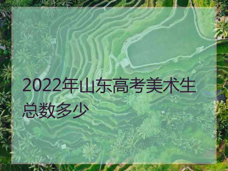 2022年山东高考美术生总数多少