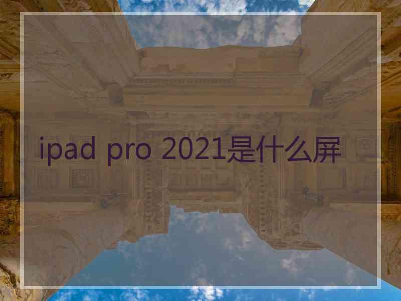 ipad pro 2021是什么屏