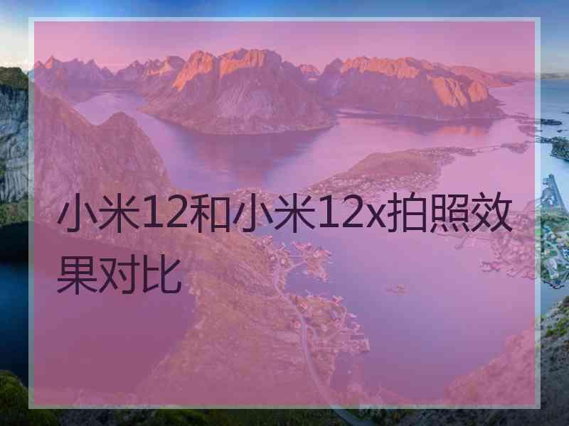 小米12和小米12x拍照效果对比