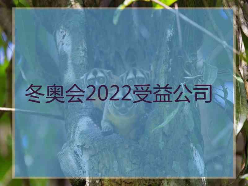 冬奥会2022受益公司