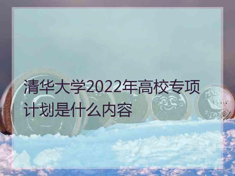 清华大学2022年高校专项计划是什么内容