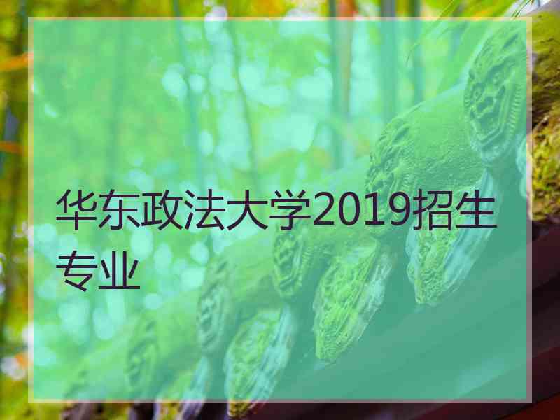 华东政法大学2019招生专业