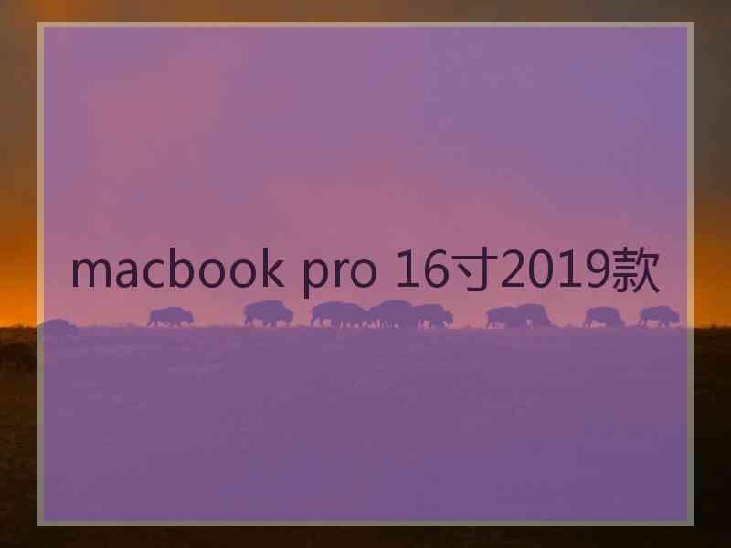 macbook pro 16寸2019款