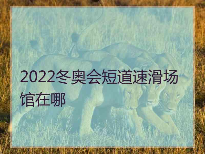 2022冬奥会短道速滑场馆在哪