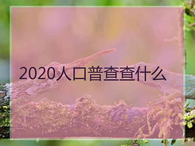 2020人口普查查什么