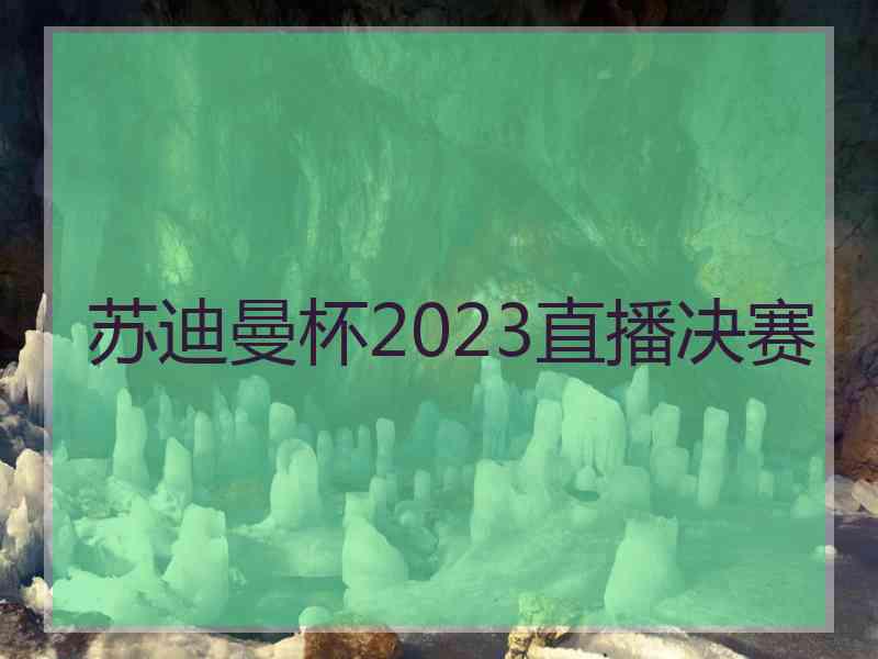 苏迪曼杯2023直播决赛