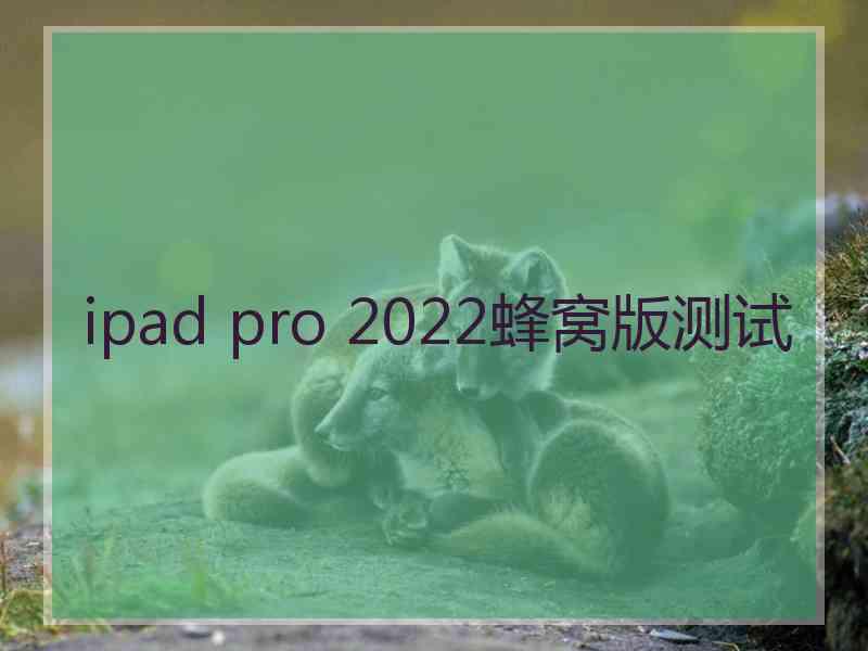 ipad pro 2022蜂窝版测试