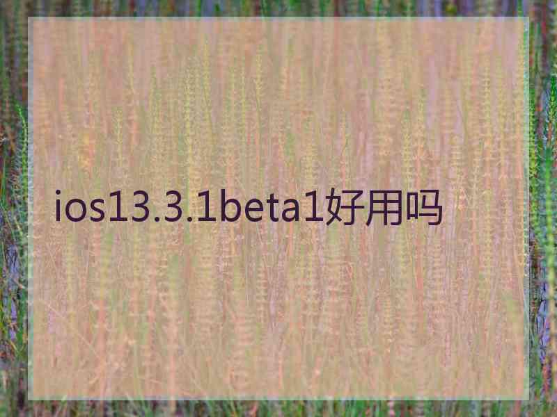 ios13.3.1beta1好用吗