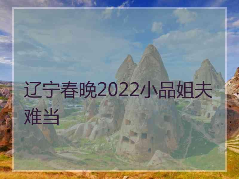 辽宁春晚2022小品姐夫难当