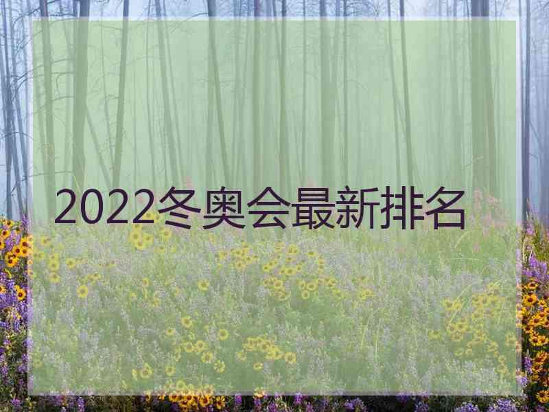 2022冬奥会最新排名