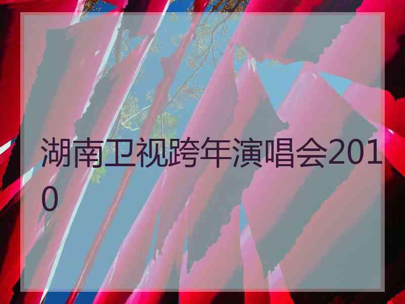 湖南卫视跨年演唱会2010