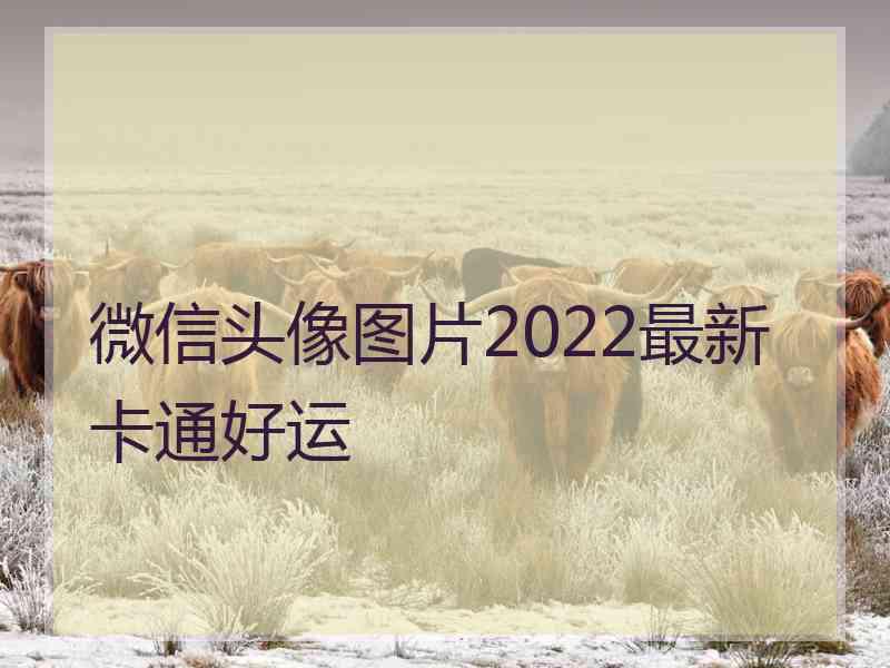 微信头像图片2022最新卡通好运