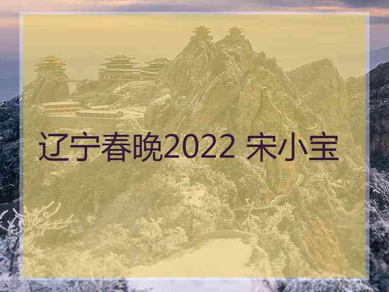 辽宁春晚2022 宋小宝