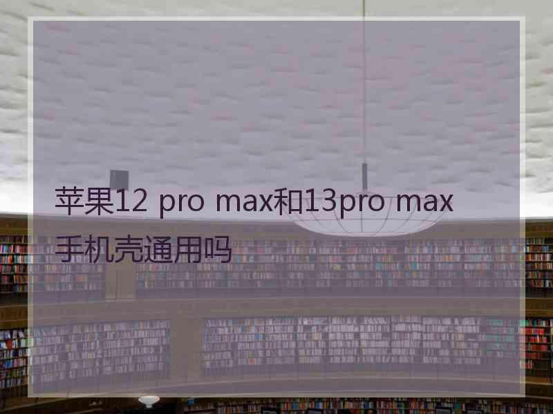 苹果12 pro max和13pro max手机壳通用吗