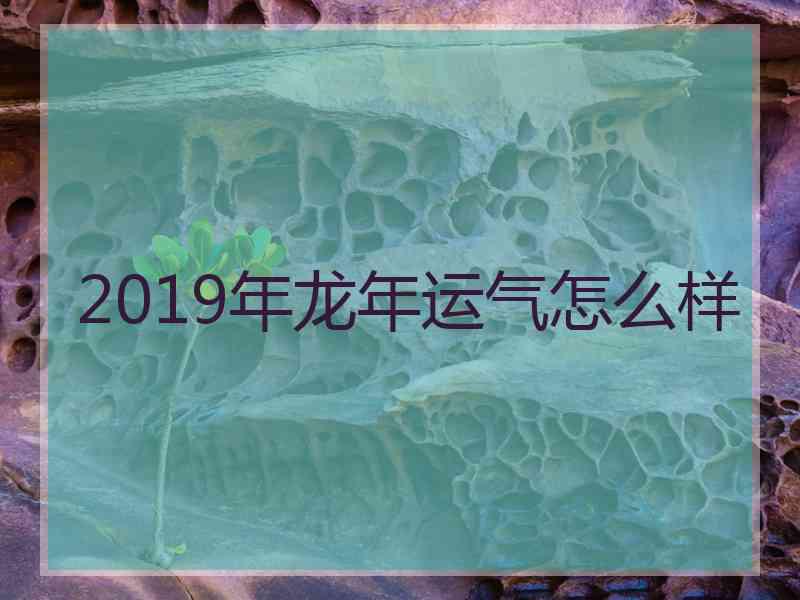 2019年龙年运气怎么样