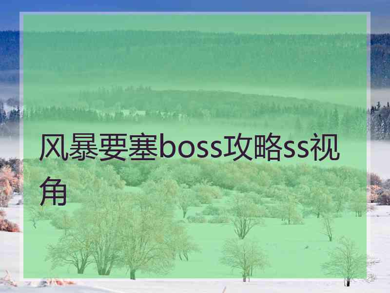 风暴要塞boss攻略ss视角