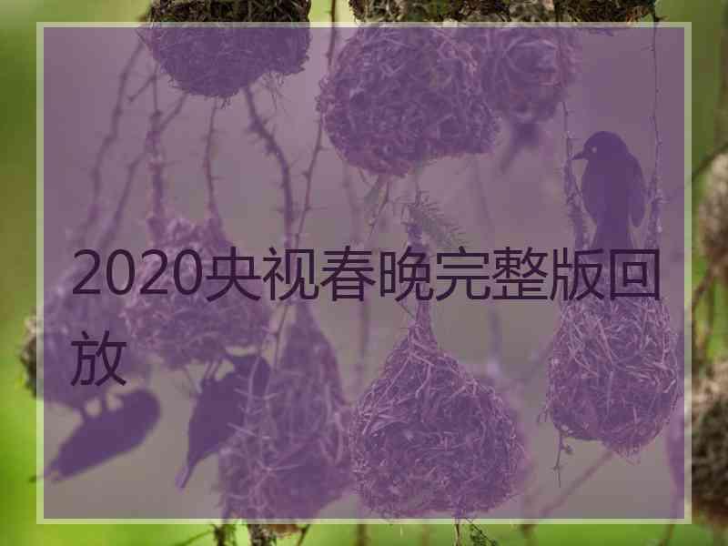 2020央视春晚完整版回放