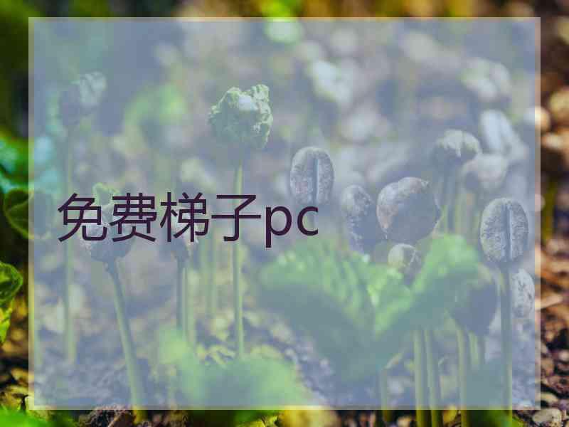 免费梯子pc