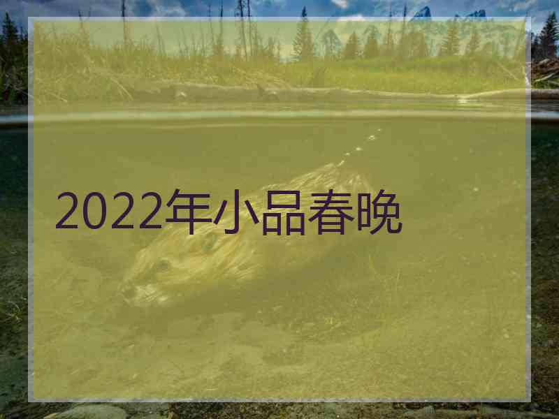 2022年小品春晚