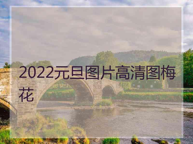 2022元旦图片高清图梅花