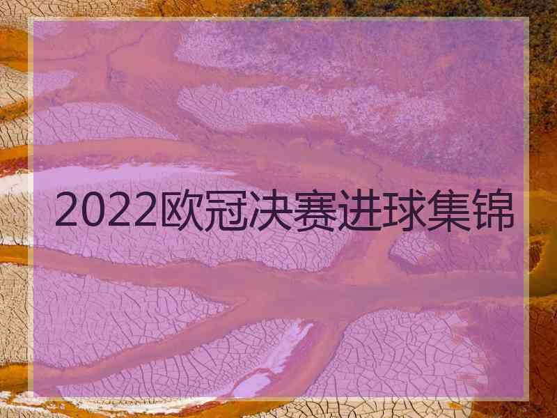 2022欧冠决赛进球集锦