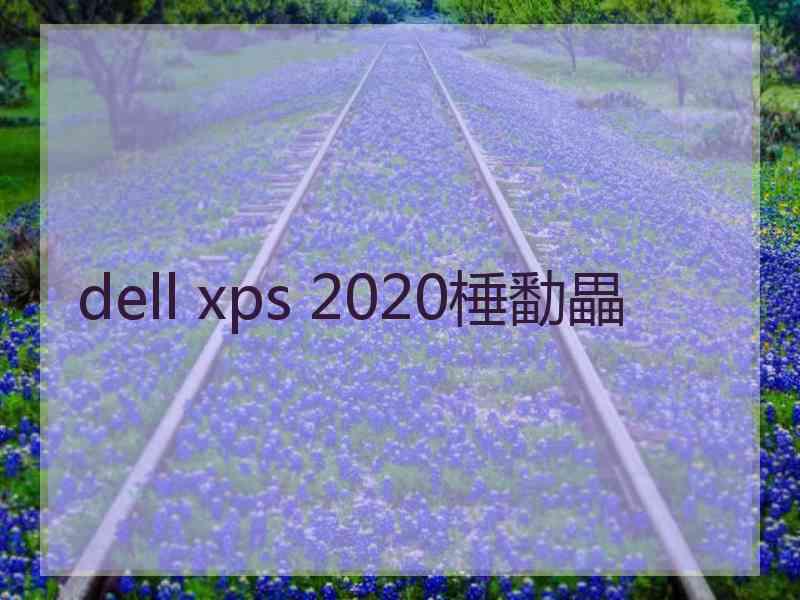 dell xps 2020棰勫畾