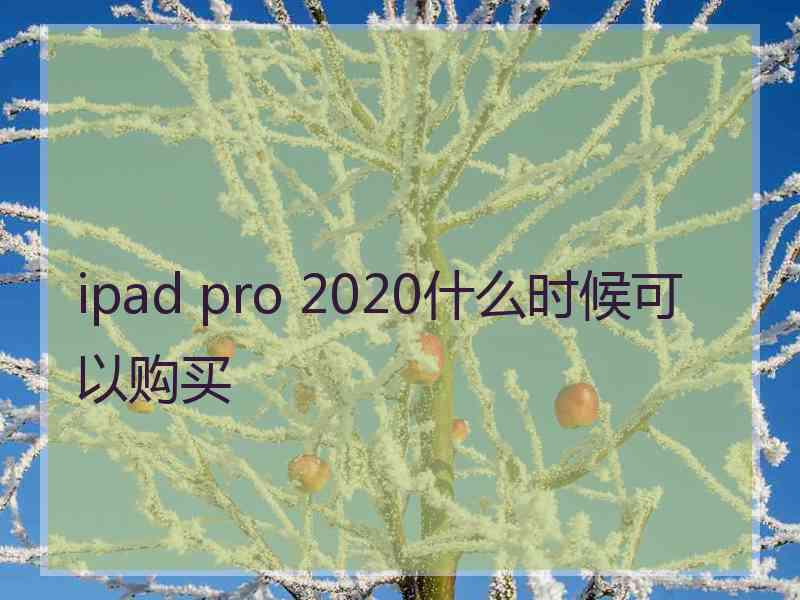 ipad pro 2020什么时候可以购买