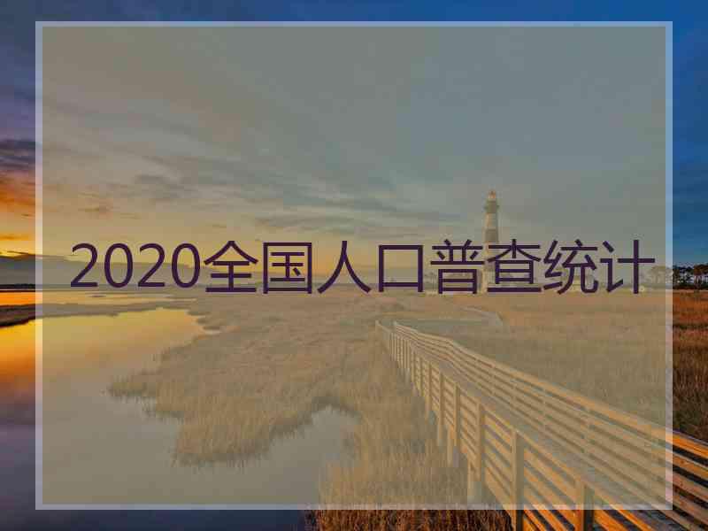 2020全国人口普查统计