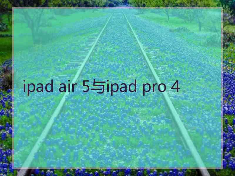 ipad air 5与ipad pro 4