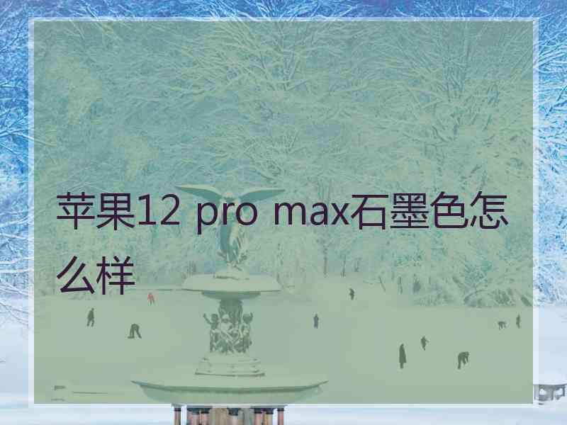 苹果12 pro max石墨色怎么样