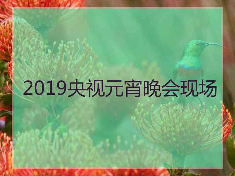 2019央视元宵晚会现场