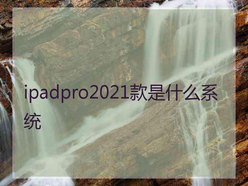 ipadpro2021款是什么系统