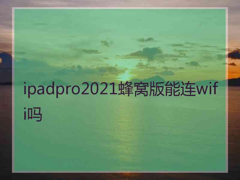 ipadpro2021蜂窝版能连wifi吗