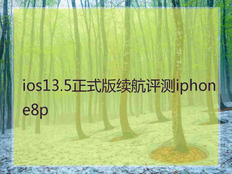 ios13.5正式版续航评测iphone8p