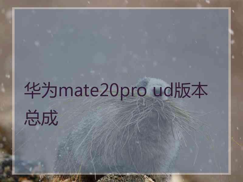 华为mate20pro ud版本总成