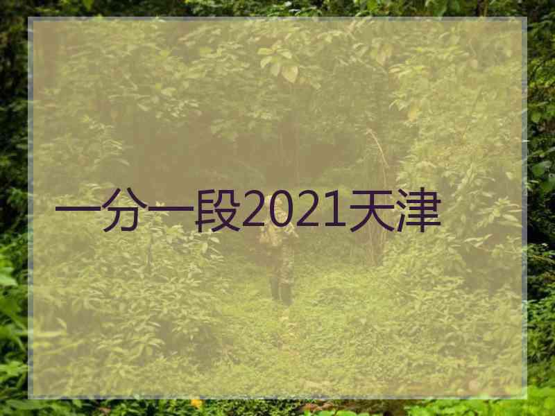 一分一段2021天津