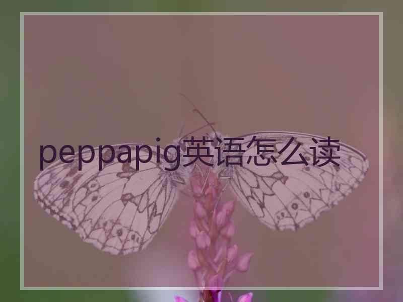 peppapig英语怎么读