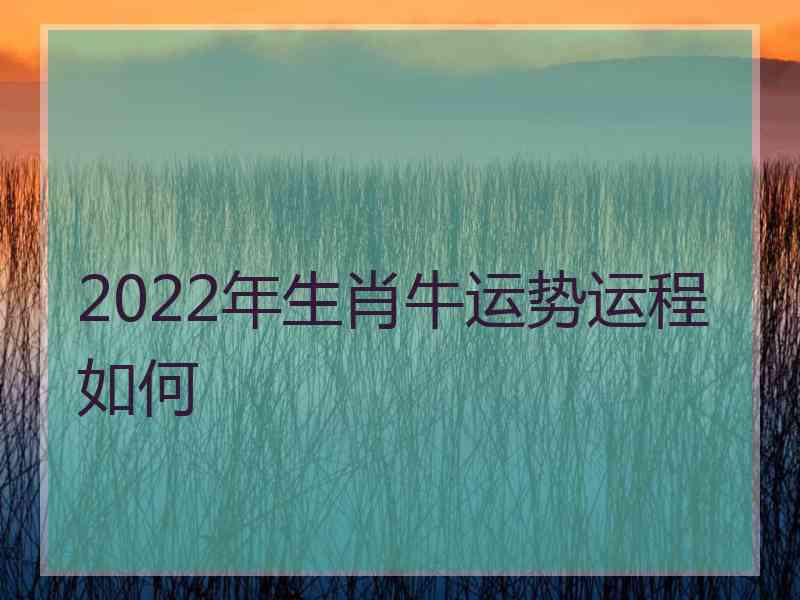 2022年生肖牛运势运程如何