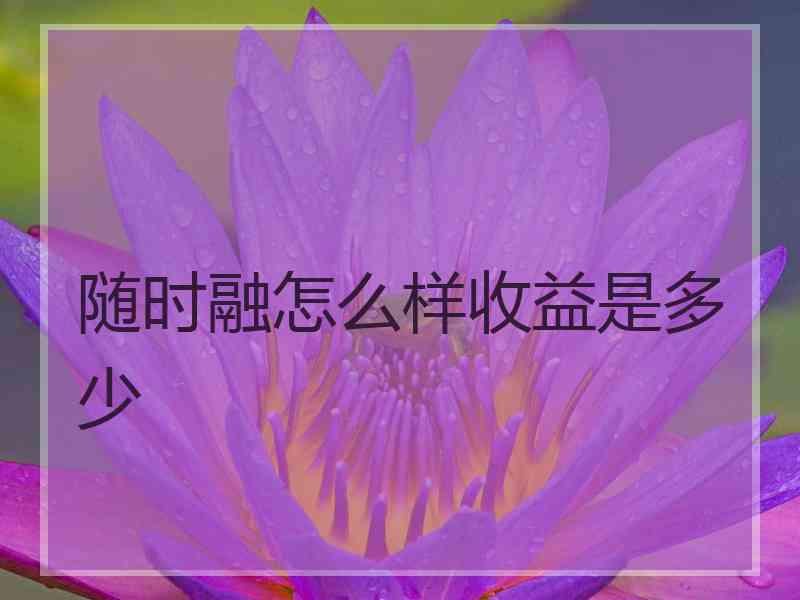 随时融怎么样收益是多少