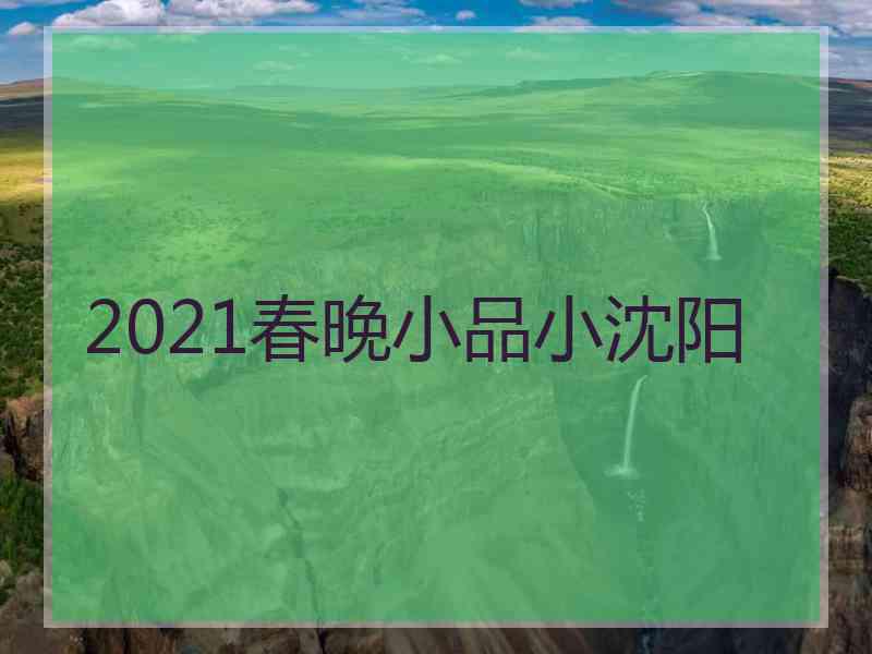 2021春晚小品小沈阳