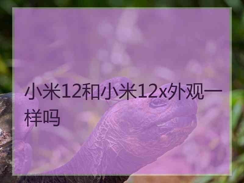 小米12和小米12x外观一样吗