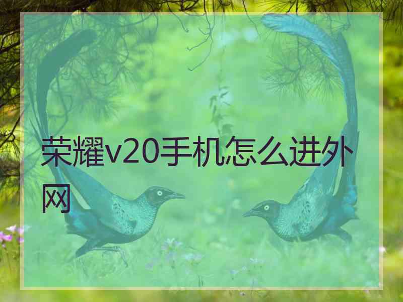 荣耀v20手机怎么进外网